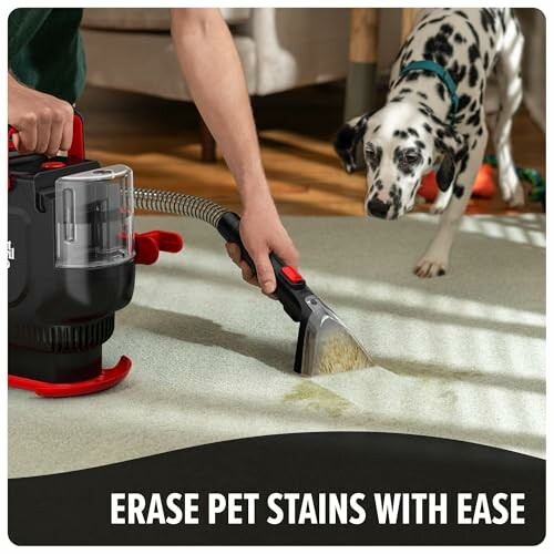 Carpet cleaning machine used for removing pet stains with a dog nearby.